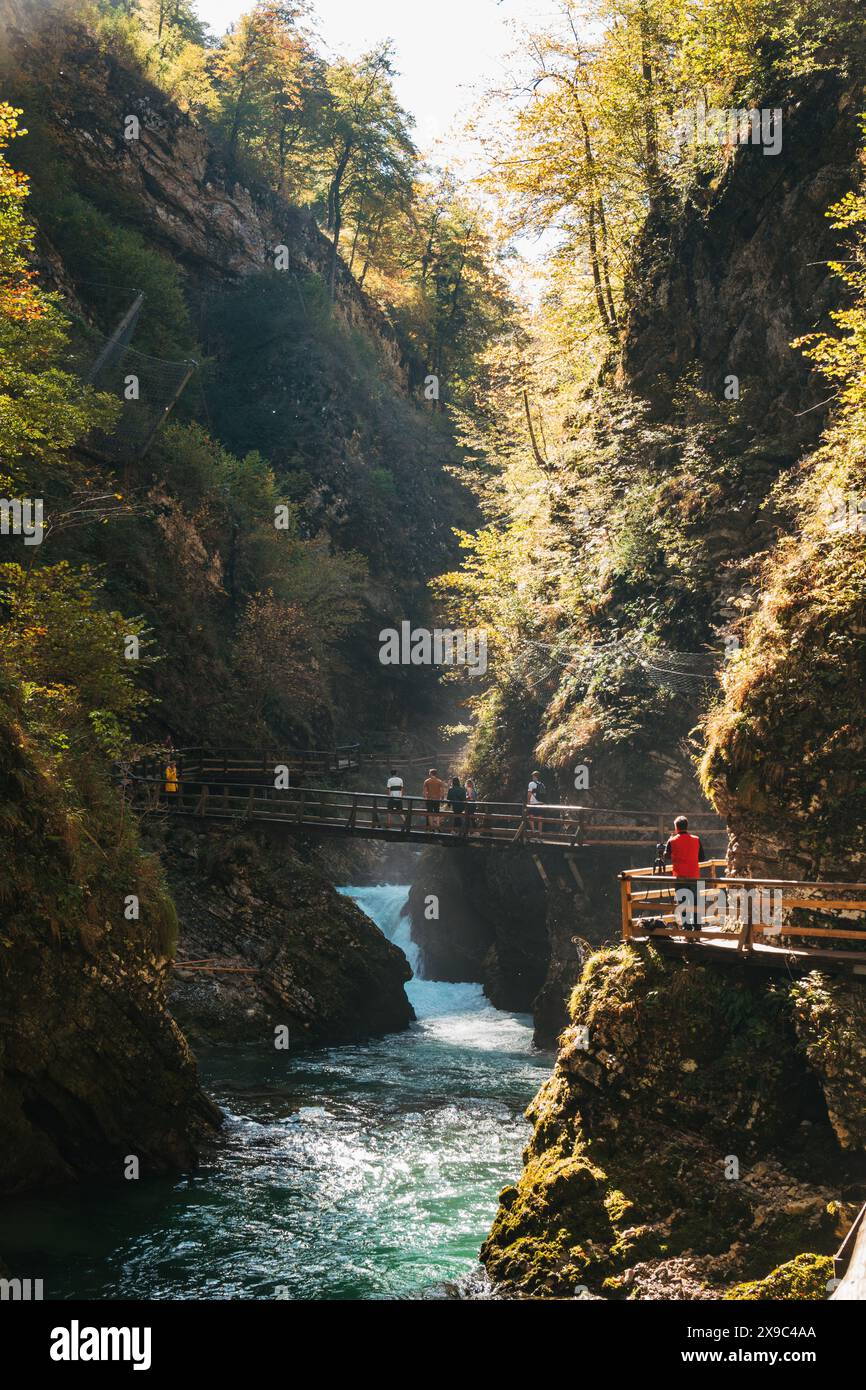 La luce del sole d'autunno colpisce la gola di Vintgar, un famoso sentiero escursionistico lungo il bordo di un canyon scavato dal fiume Radovna Foto Stock