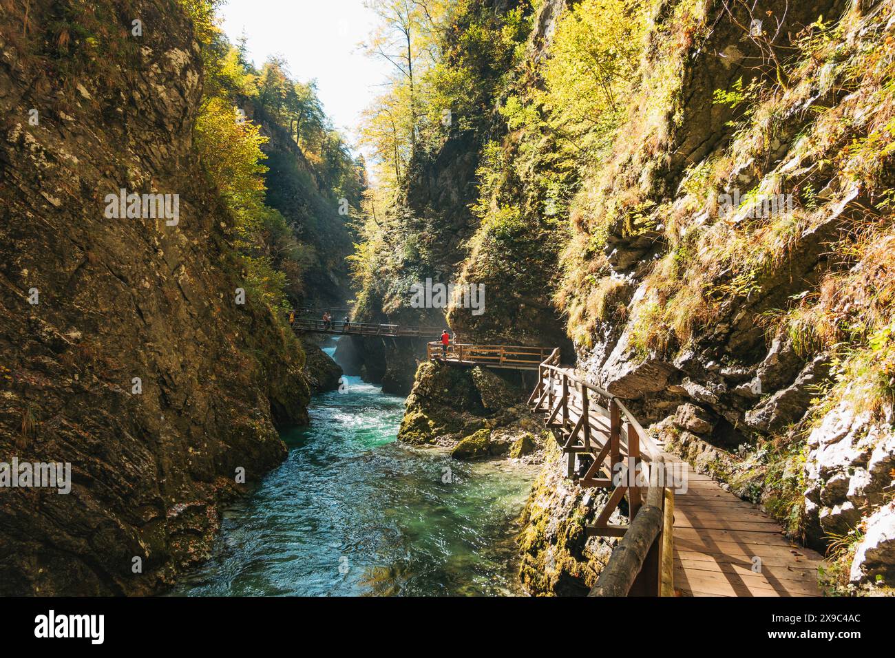 La luce del sole d'autunno colpisce la gola di Vintgar, un famoso sentiero escursionistico lungo il bordo di un canyon scavato dal fiume Radovna Foto Stock