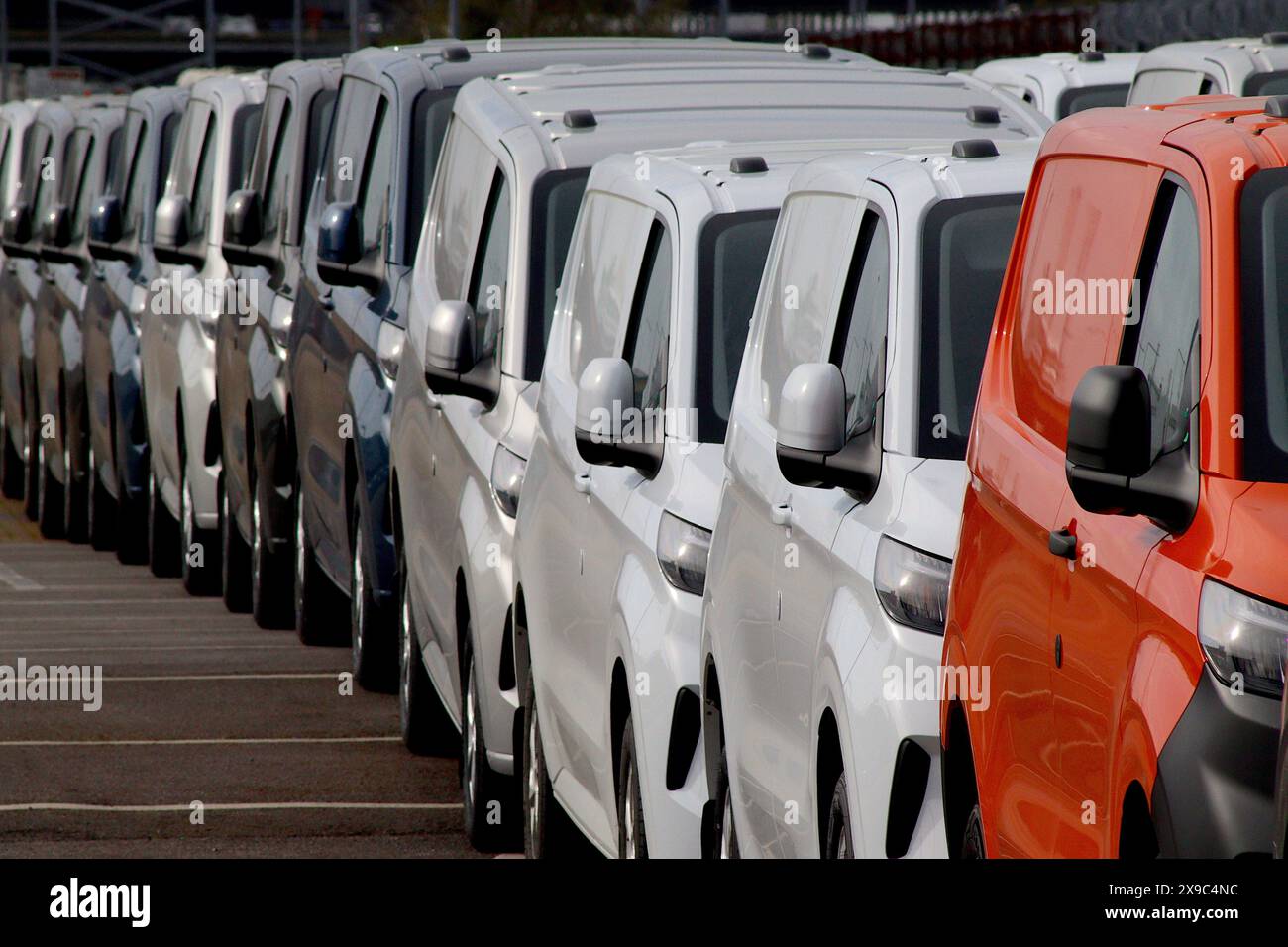 Una linea di 2024 furgoni Ford Transit Custom di recente costruzione, parte di una spedizione di oltre 100 furgoni parcheggiati in un'area di sosta dei veicoli presso un porto del Regno Unito. Foto Stock Una linea di 2024 furgoni Ford Transit Custom di recente costruzione, parte di una spedizione di oltre 100 furgoni parcheggiati in un'area di sosta dei veicoli presso un porto del Regno Unito. Foto Stock