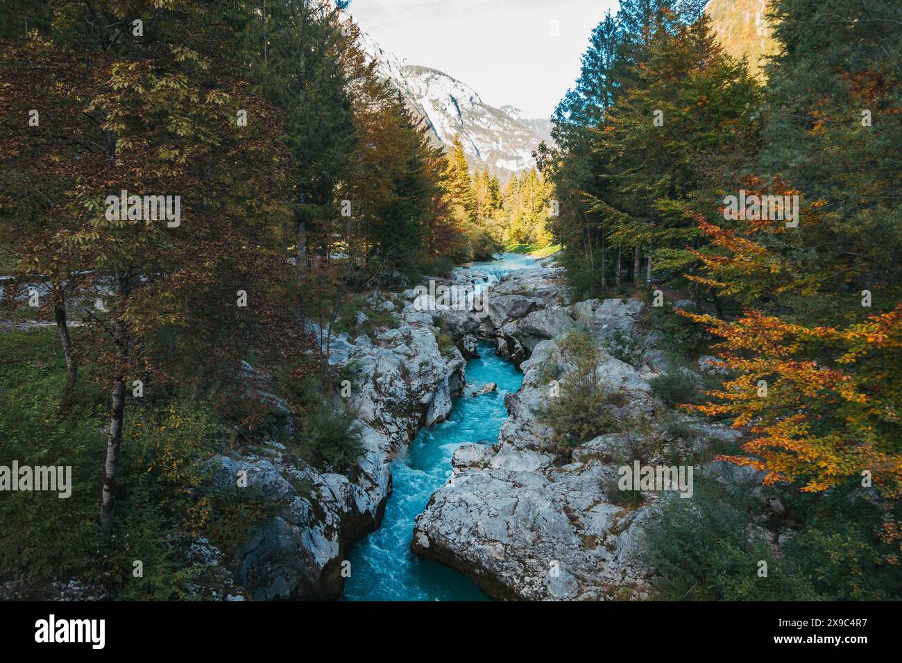 Il fiume Soča nella valle di Soča nelle Alpi Giulie, Slovenia Foto Stock