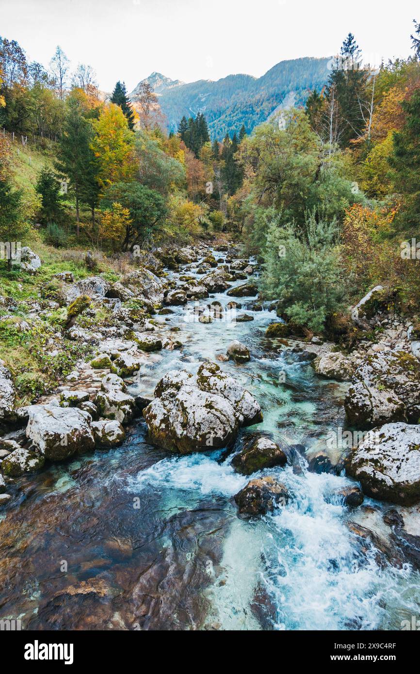 Il fiume Soča nella valle di Soča nelle Alpi Giulie, Slovenia Foto Stock