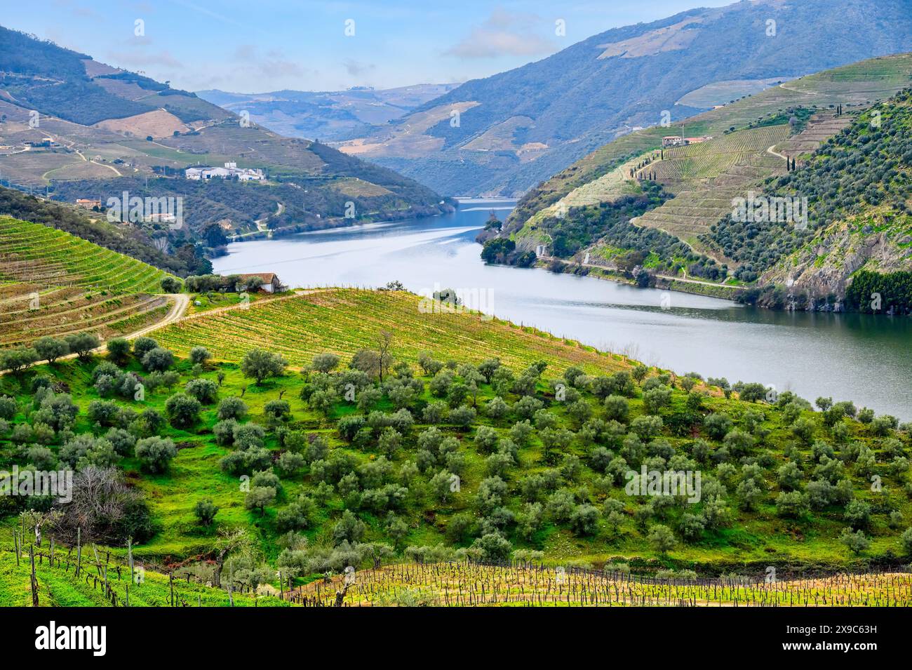 Paesaggio Valle del Douro, Portogallo Foto Stock