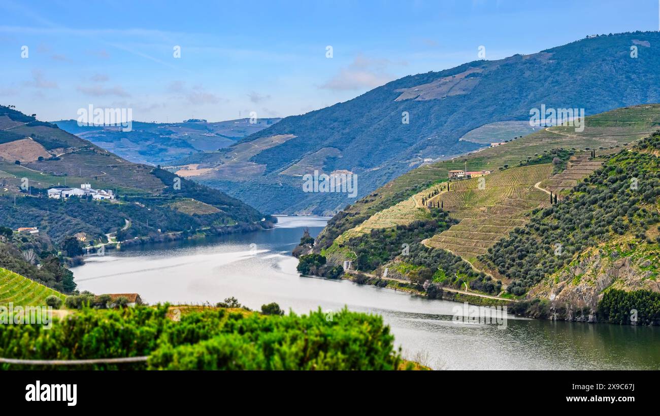 Paesaggio Valle del Douro, Portogallo Foto Stock