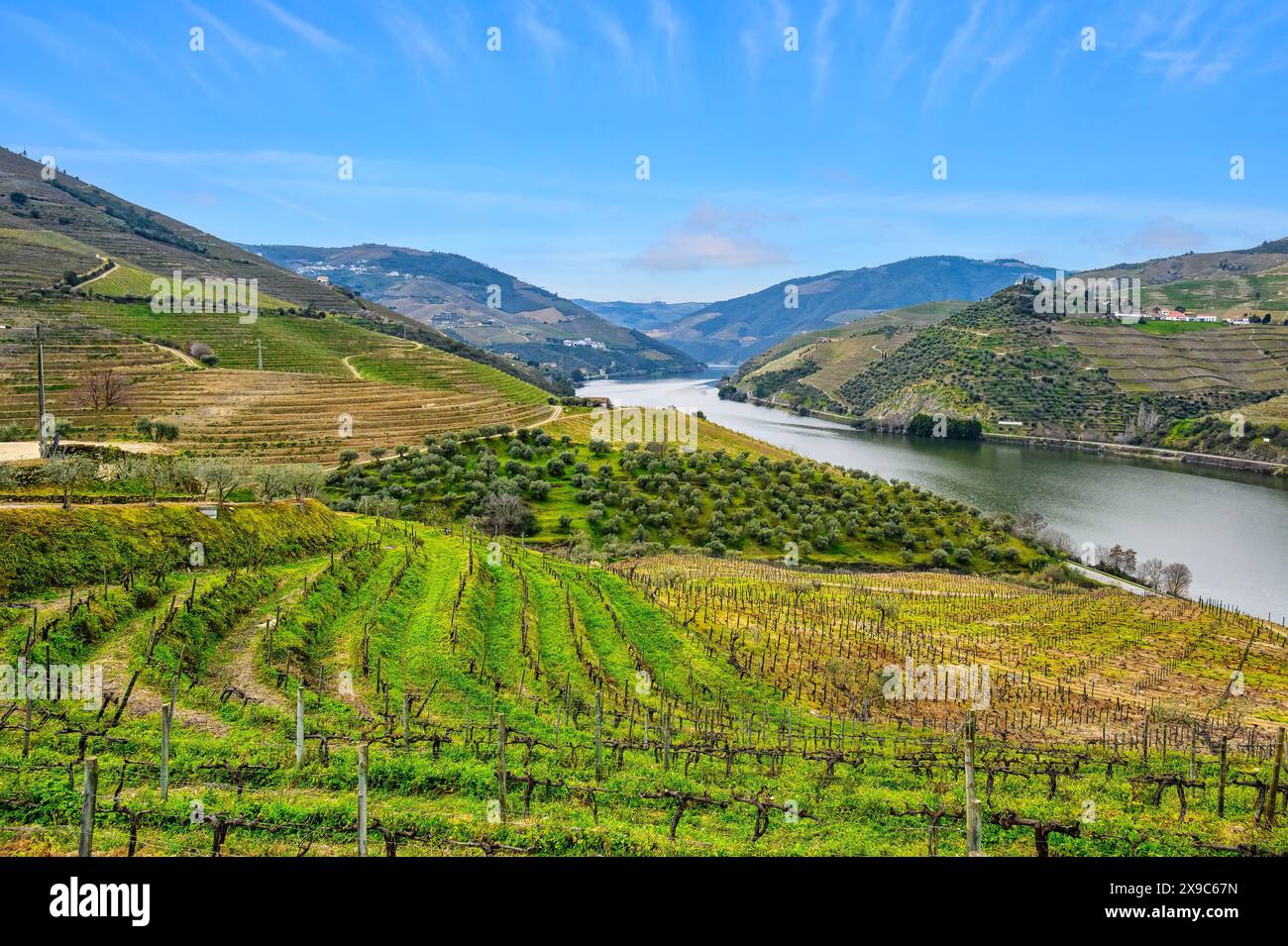 Paesaggio Valle del Douro, Portogallo Foto Stock
