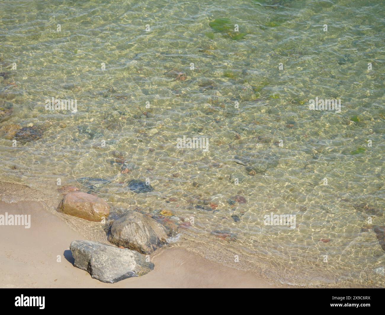 Acque limpide sulla costa con varie pietre sulla spiaggia sabbiosa, sorgenti sulla spiaggia del Mar Baltico in Polonia con alberi verdi, sopot, polonia Foto Stock