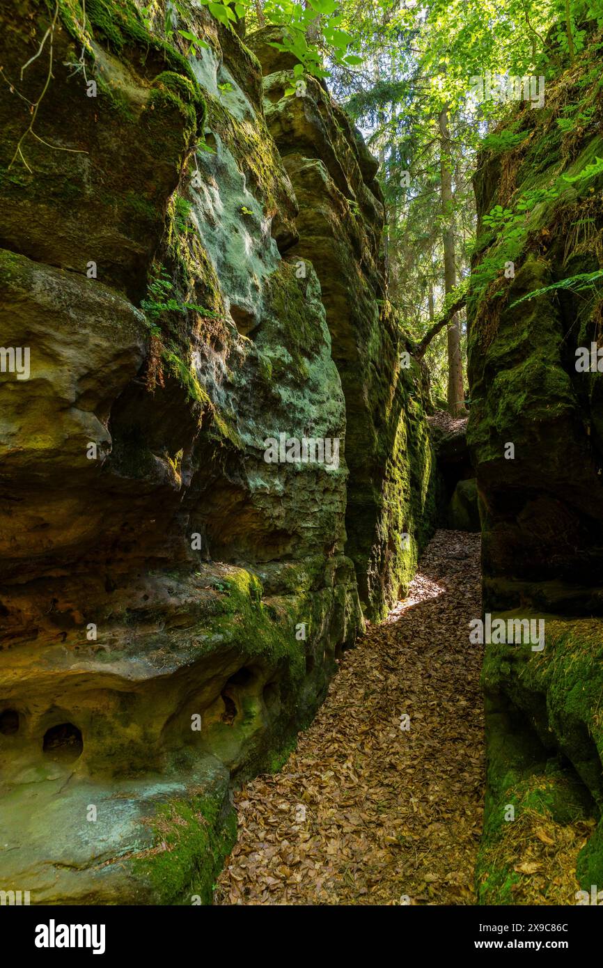 Le mura di Nikolsdorf sono un'area rocciosa della Svizzera sassone. Nikolsdorf, Sassonia, Germania Foto Stock