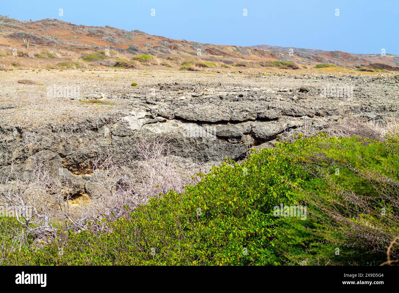 Paesaggio vulcanico sull'isola di Curacao Foto Stock