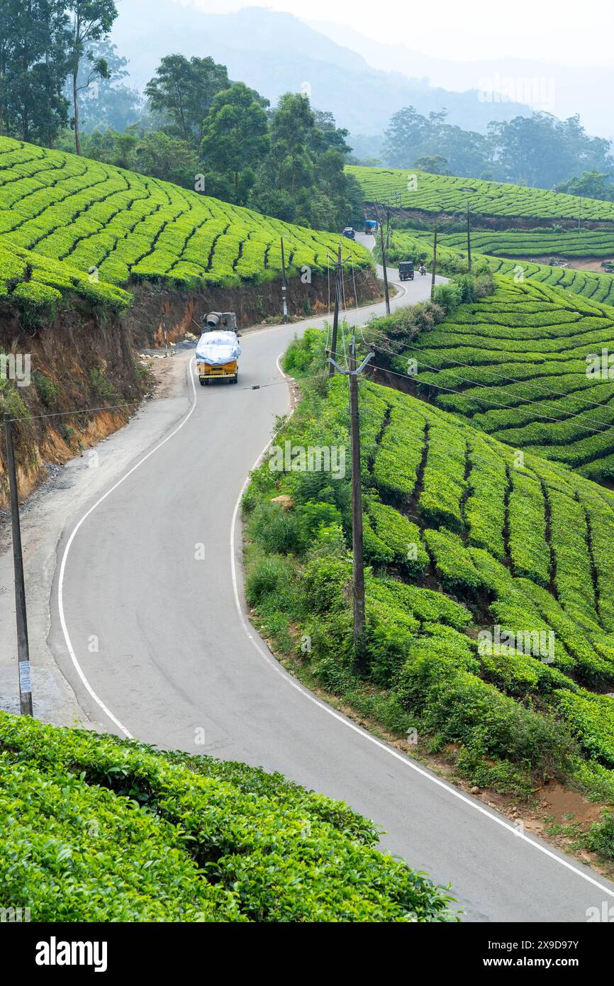 Stazione collinare di Munnar e piantagione di tè nel Kerala, India. Foto Stock