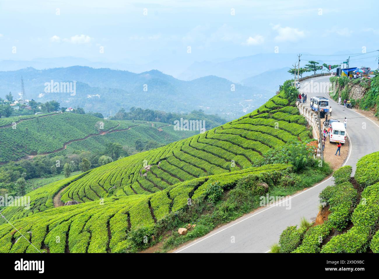 Stazione collinare di Munnar e piantagione di tè nel Kerala, India. Foto Stock