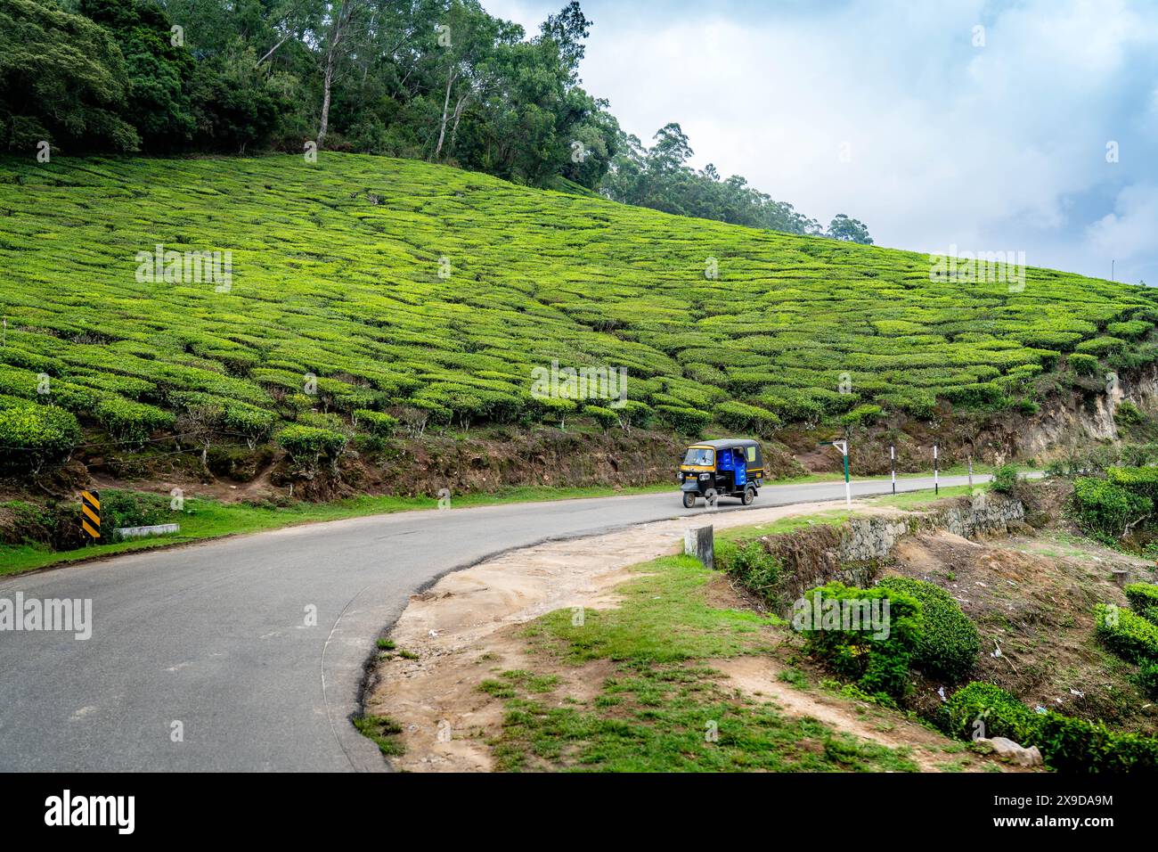 Stazione collinare di Munnar e piantagione di tè nel Kerala, India. Foto Stock
