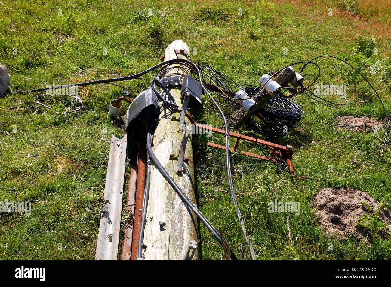 Una vittima di un incidente stradale in cui un veicolo pesante ha colpito un palo del telegrafo e l'ha scattato, colpendo la parte superiore. Foto Stock