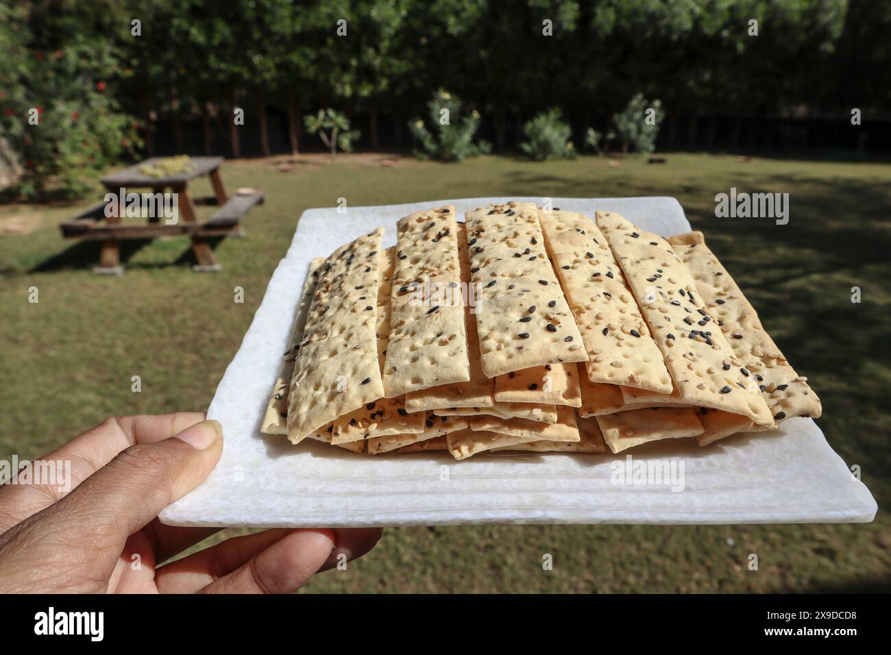 Bastoncini di pane croccanti al Lavash disposti sul piatto e serviti Foto Stock