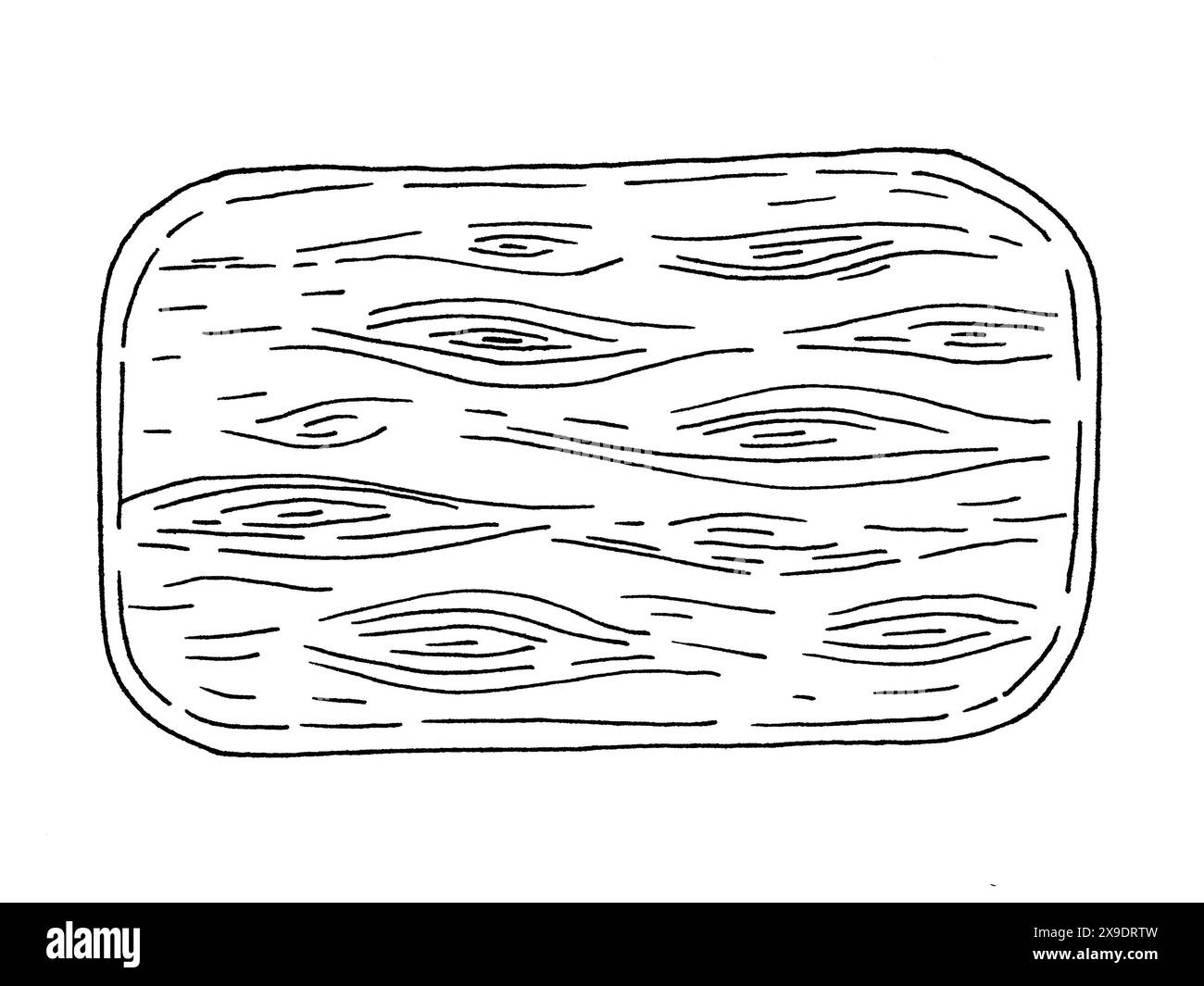 Il disegno raffigura un pezzo di legno bianco e nero che mostra dettagli complessi. Cattura l'essenza di un rettangolo con motivi e texture artistici Foto Stock