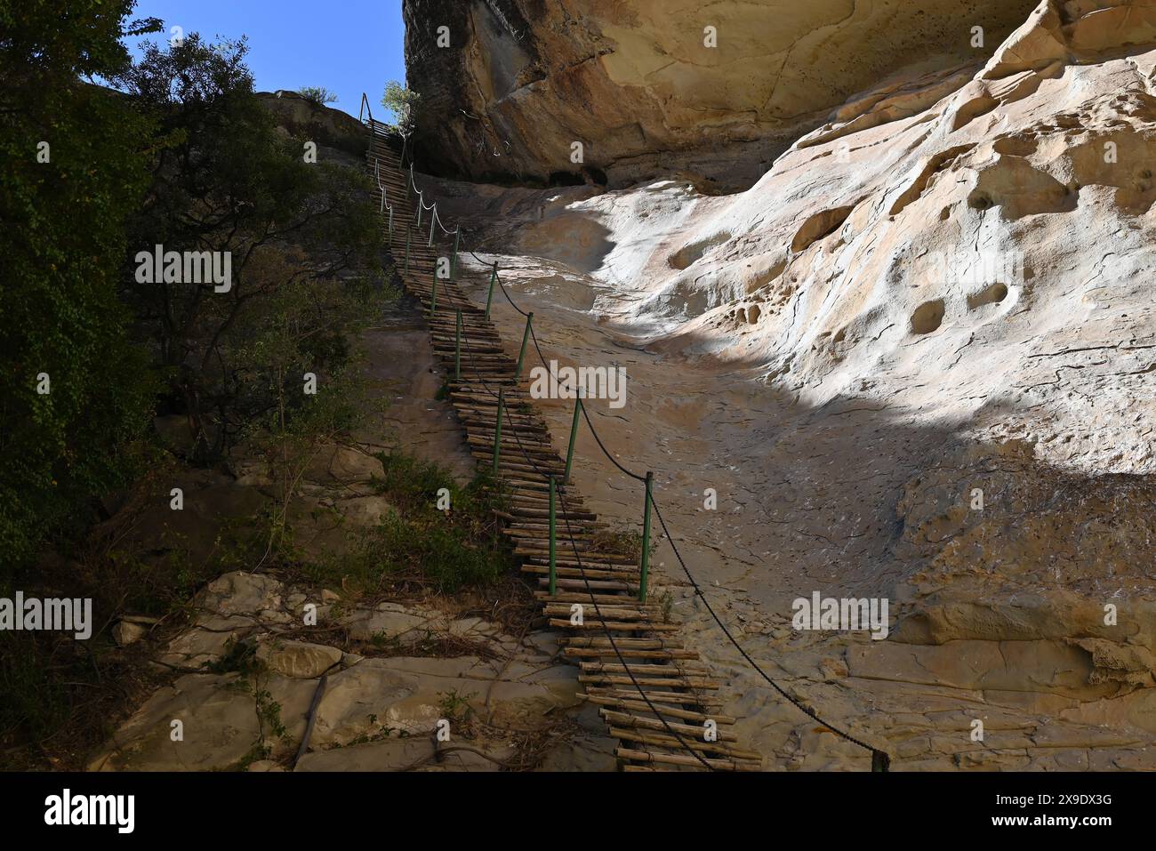 Golden Gate Highlands National Park, Maluti Mountain Metal Chainlink Ladder Foto Stock