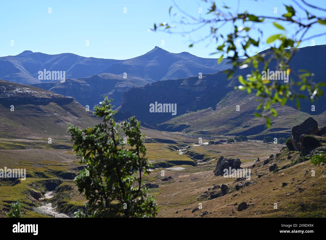 Golden Gate Highlands National Park, Maluti Mountains Foto Stock