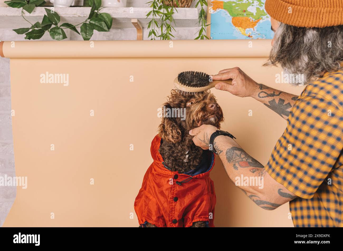 Fotografo che combatte un cane per il servizio fotografico in studio Foto Stock