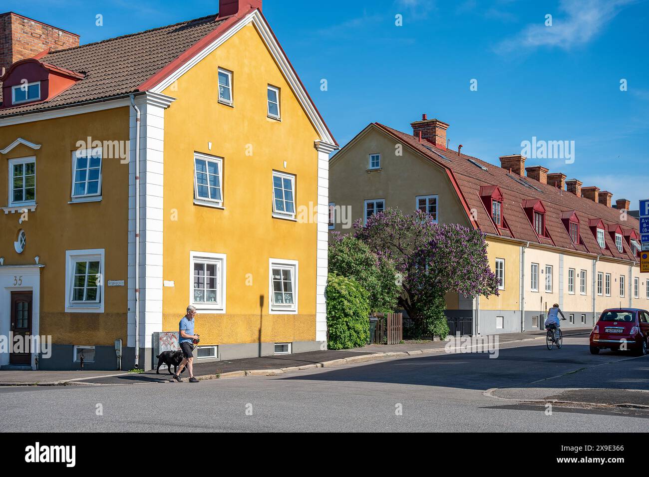 Giardini fioriti e tradizionali case a schiera adiacenti al quartiere di Red Town nella parte settentrionale di Norrköping durante la tarda primavera, inizio estate 2024. Foto Stock