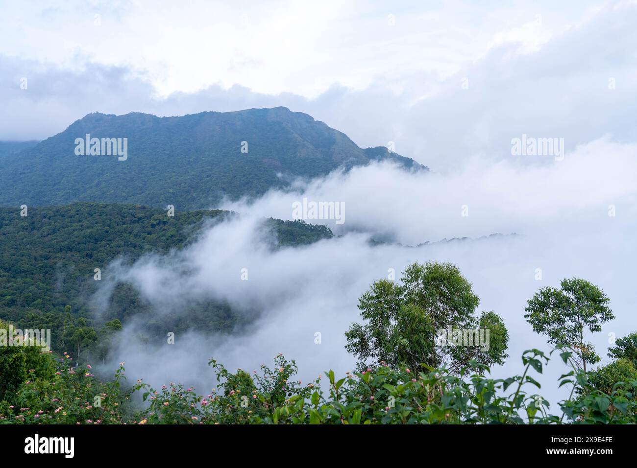 Top Station, situata a Munnar, è il punto più alto, il luogo cade sul confine Kerala-Tamil Nadu. Da qui si può godere la vista panoramica. Foto Stock