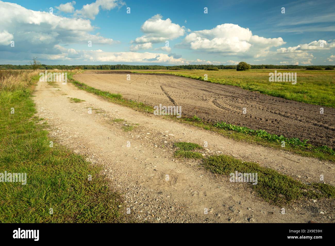 Strada di ghiaia accanto a un campo arato e nuvole sul cielo blu Foto Stock