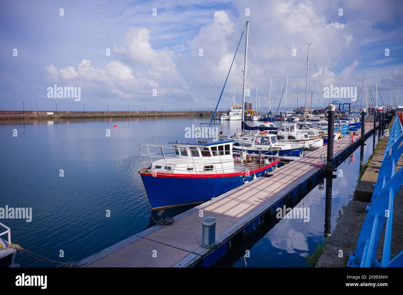 Porticciolo e barche ormeggiate a Carrickfergus, Irlanda del Nord Foto Stock