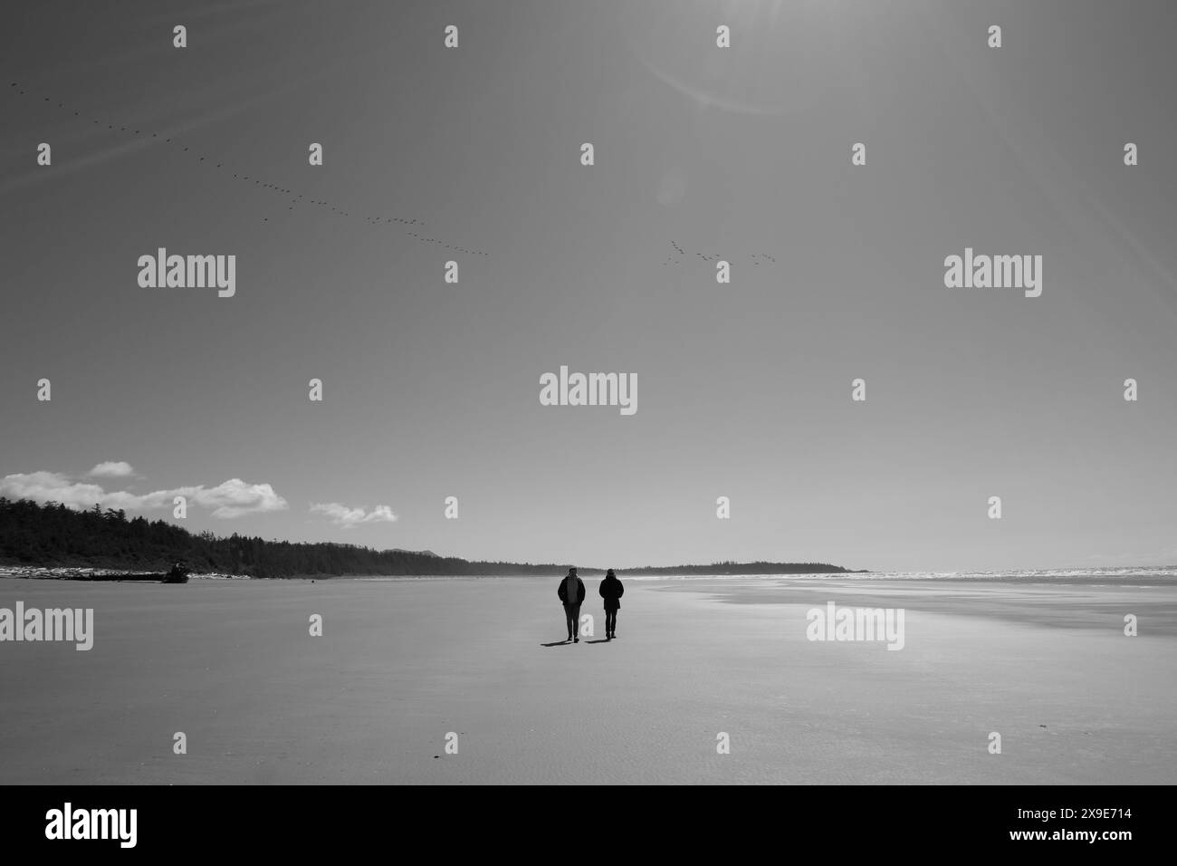 Tofino Beach Foto Stock