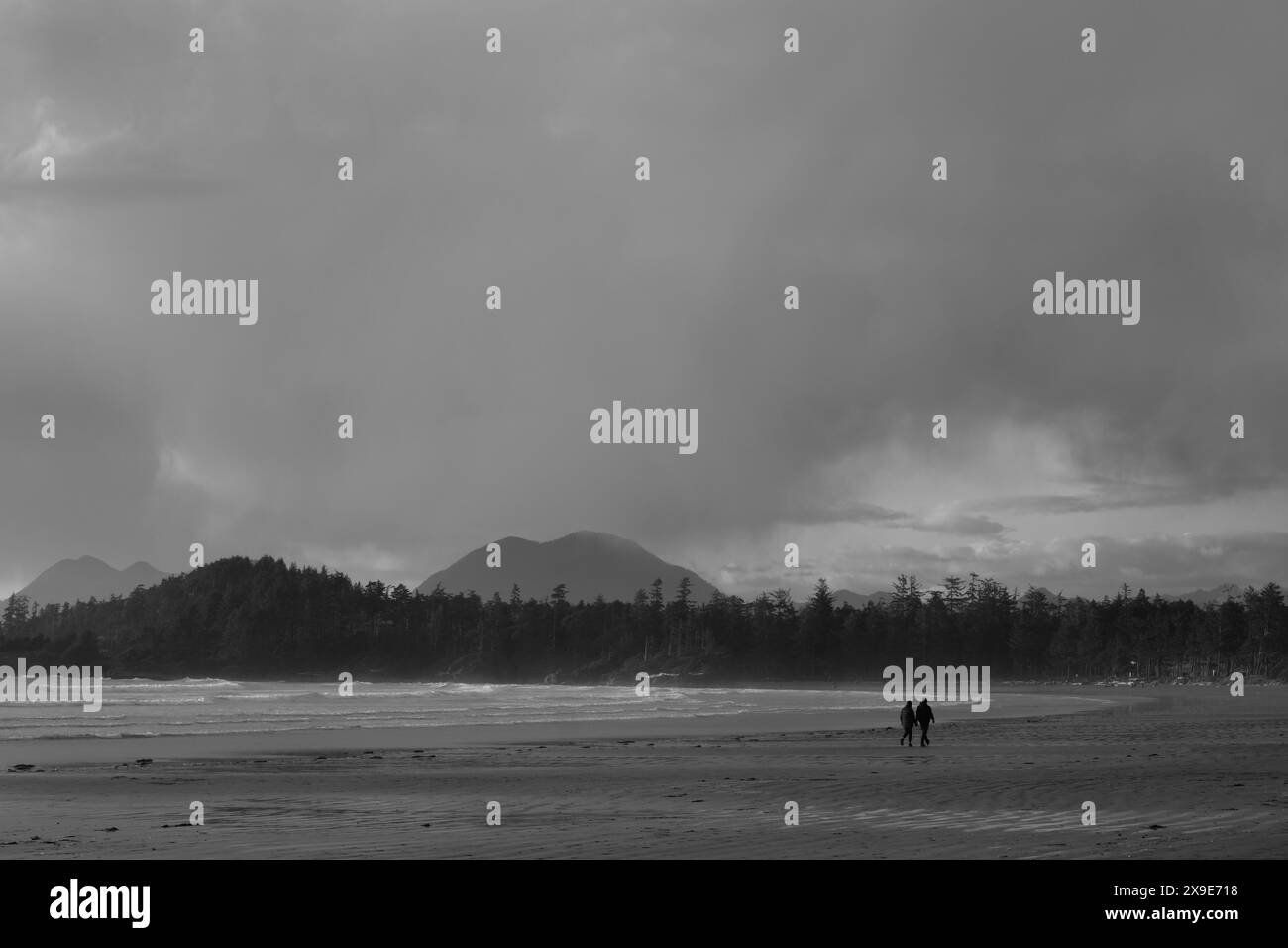 Chesterman Beach Foto Stock