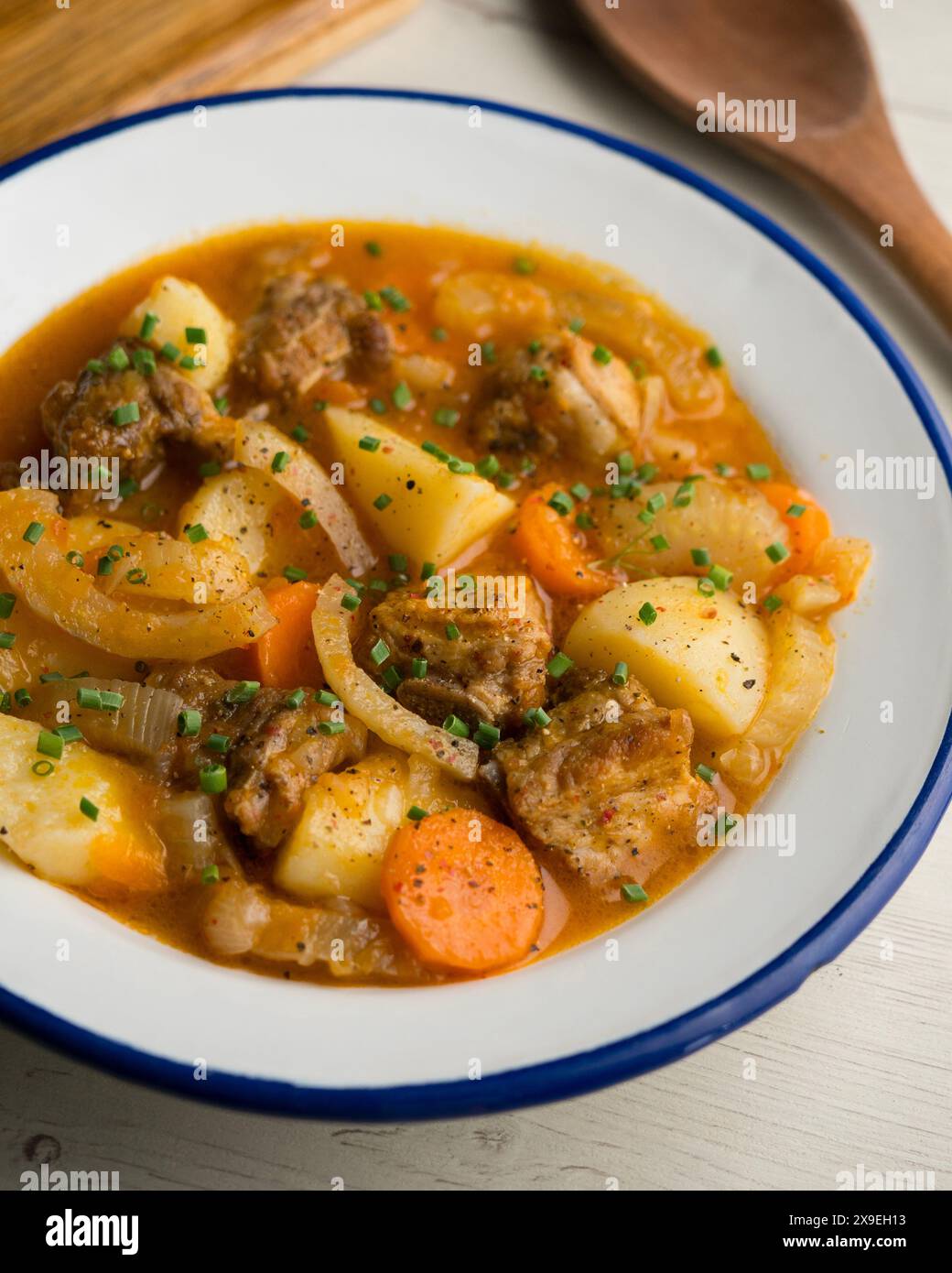 Stufato con costolette di maiale, patate e finocchio. Ricetta gastronomica tradizionale spagnola. Foto Stock