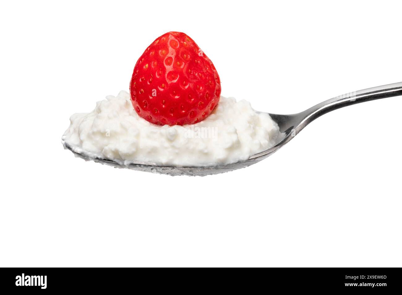 Cucchiaio di metallo con ricotta e una fragola fresca su sfondo bianco Foto Stock