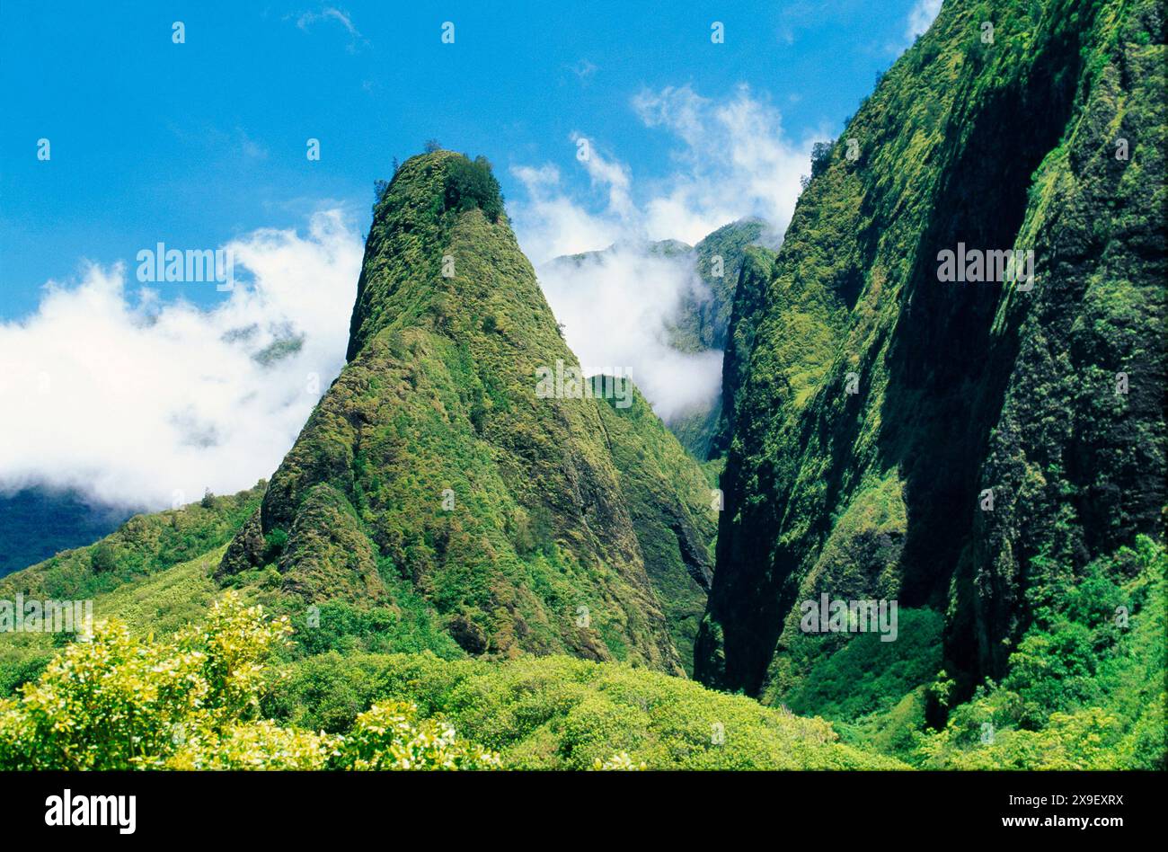 IAO Needle , Iao State Park, Kuka'emoku, Maui Island, Hawaii, USA Foto Stock