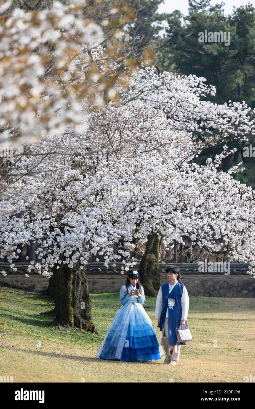 Coppia che indossa abiti tradizionali presso la Tomba reale di Re Michu nel complesso della Tomba di Daereungwon (sito Patrimonio dell'Umanità dell'UNESCO), Gyeongju, Corea del Sud Foto Stock