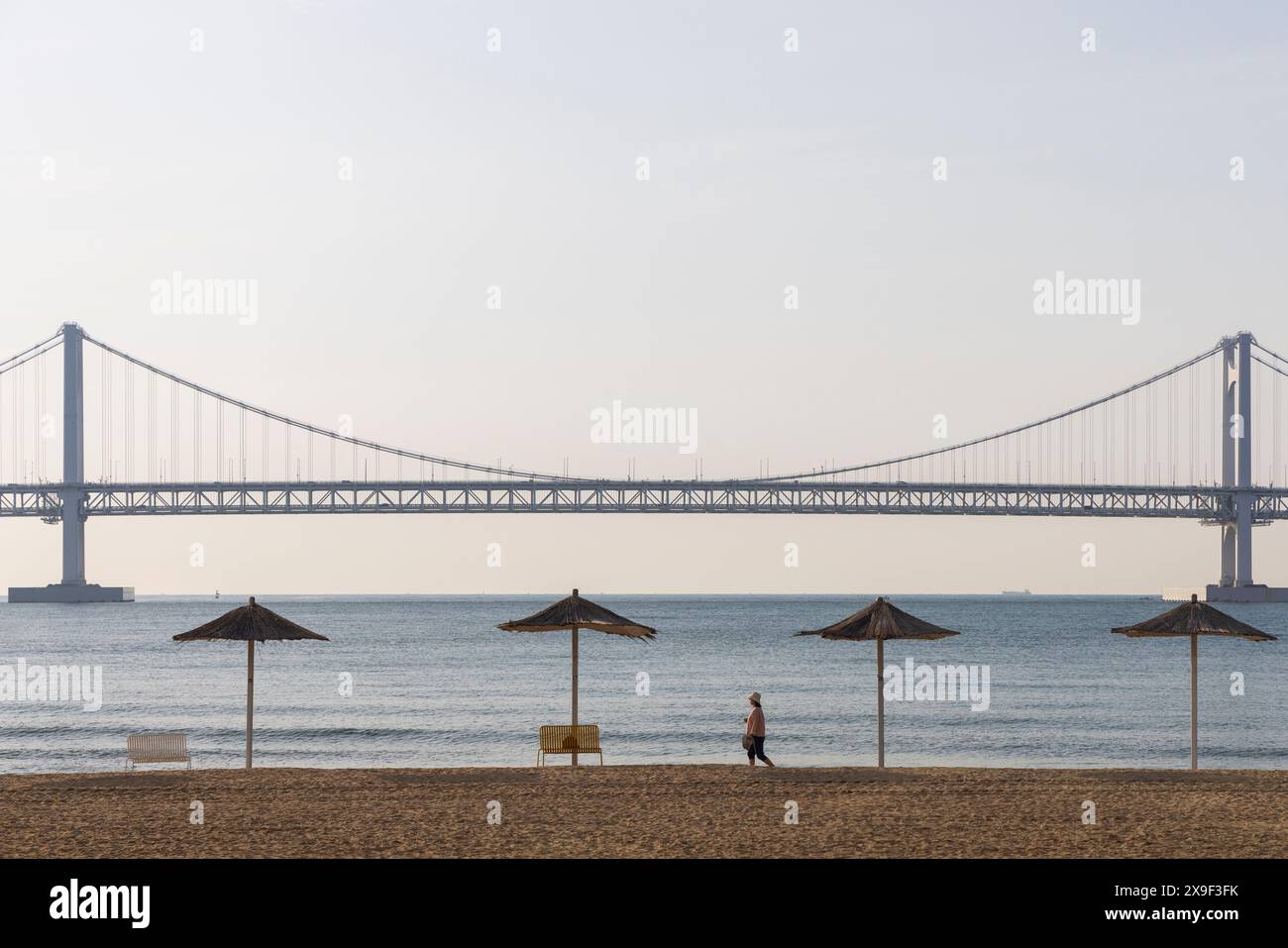 Donna che cammina sulla spiaggia di Gwangalli con il ponte Gwangan sullo sfondo, Busan, Corea del Sud Foto Stock