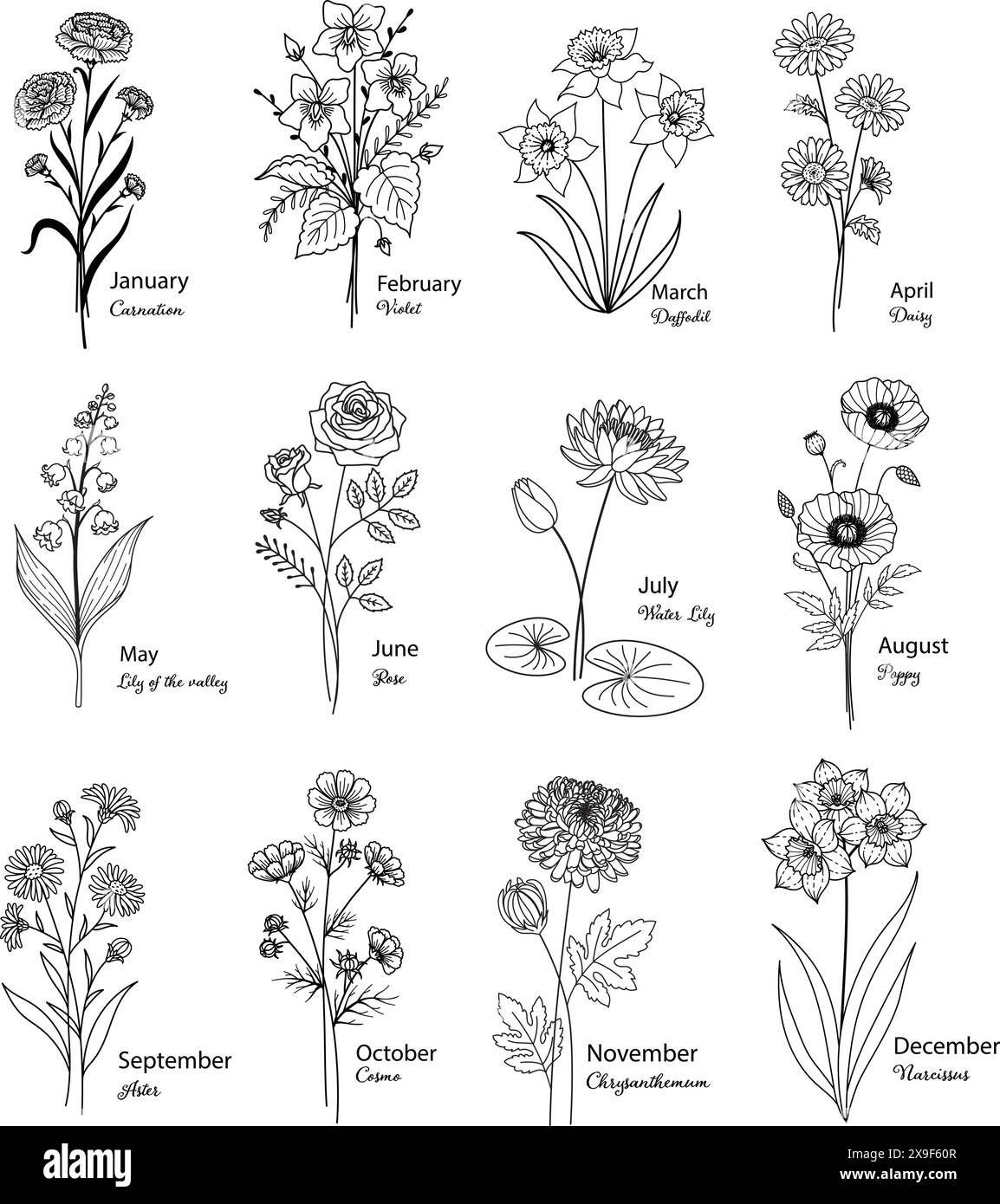 12 mesi di nascita fiori islati. Illustrazione Vettoriale
