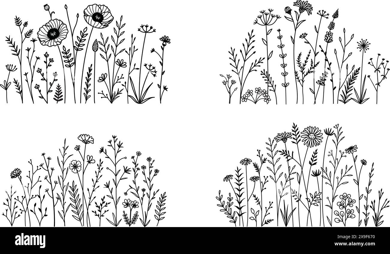 Un insieme di prati di fiori selvatici per la stampa, l'incisione, il taglio laser e così via. Illustrazione vettoriale Illustrazione Vettoriale