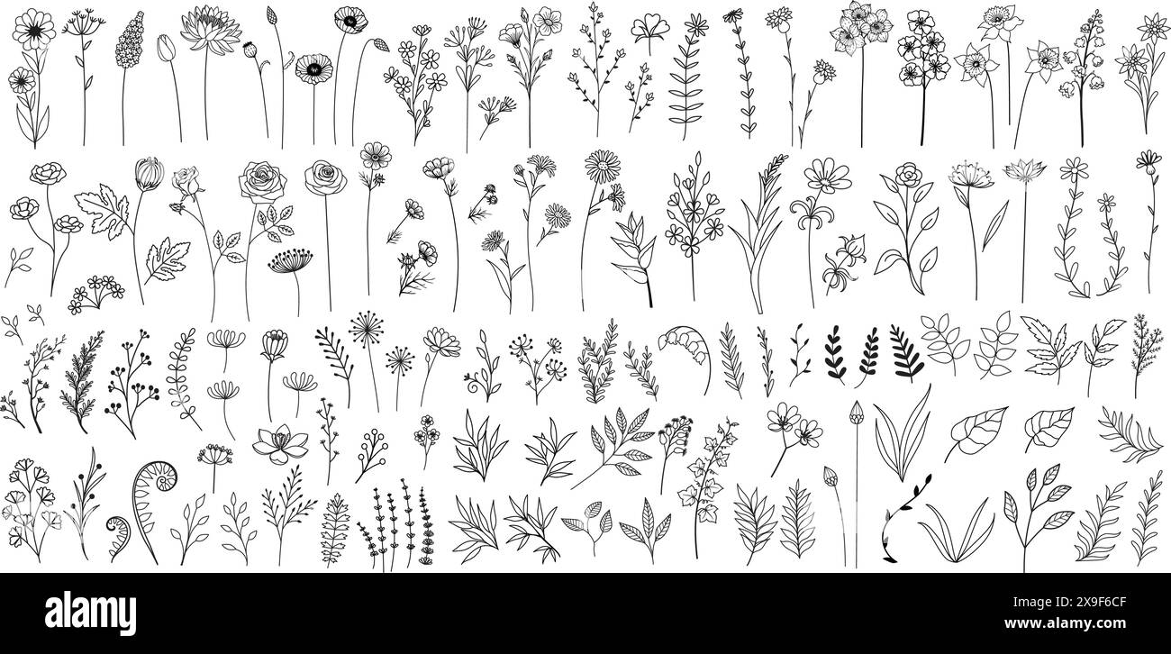 Fiori disegnati a mano in stile minimalista, foglie per logo, tatuaggio, elementi di design per carte nuziali. Illustrazione vettoriale. Illustrazione Vettoriale