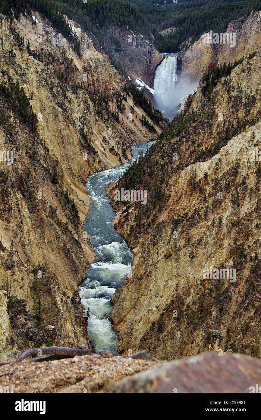 Parco nazionale di Yellowstone Foto Stock