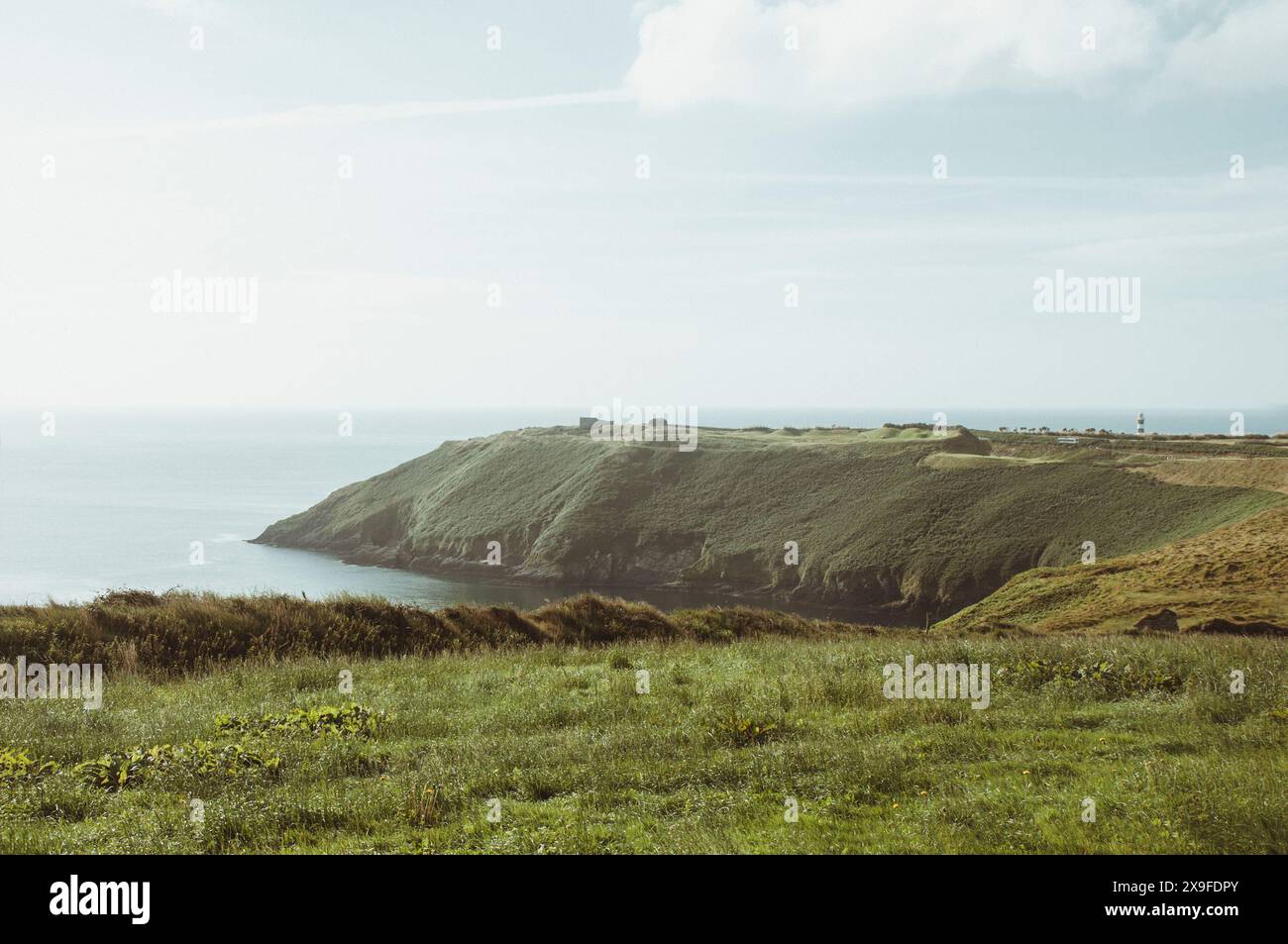 Old Head of Kinsale sul promontorio vicino a Kinsale, Contea di Cork, Irlanda Foto Stock