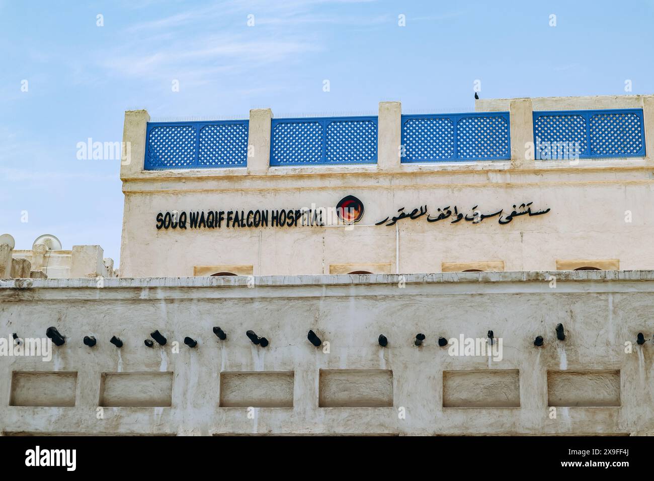 Doha, Qatar - 1 maggio 2024: Il famoso mercato dei falchi nel centro di Doha Foto Stock
