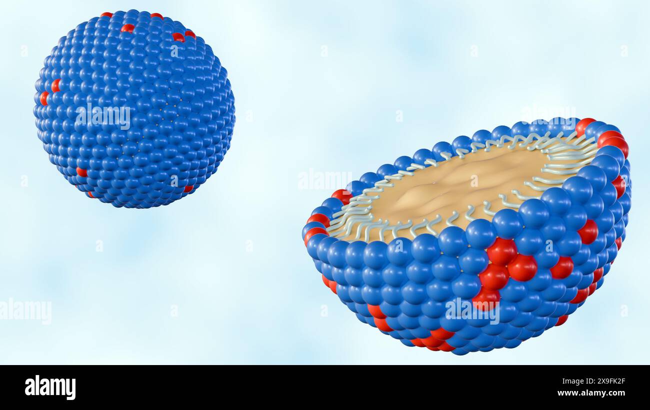 Il rendering 3d delle nanoemulsioni (ne) è costituito da piccole molecole che trasportano i componenti del farmaco nel suo nucleo. Foto Stock