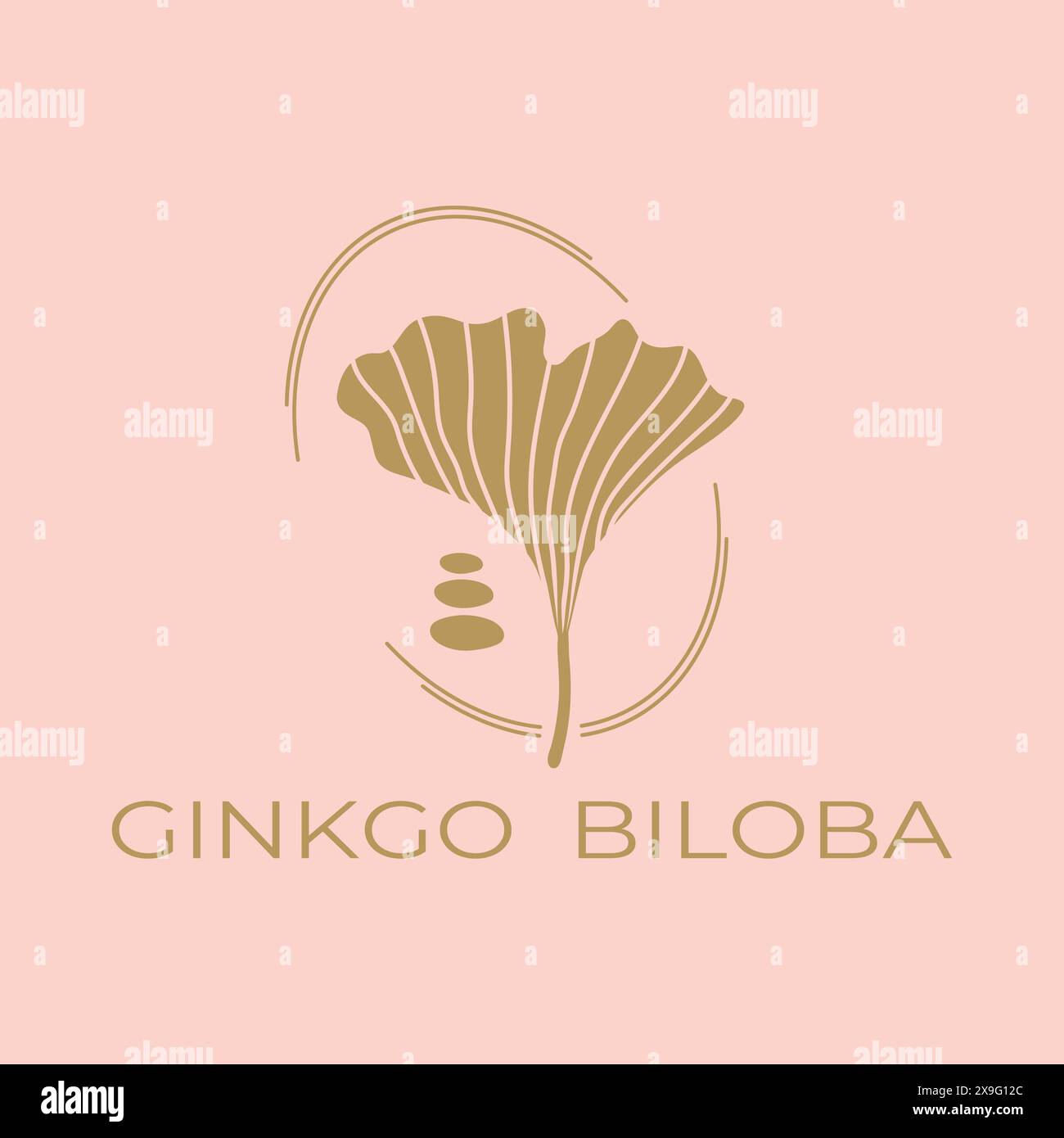 Design con logo in foglia di ginkgo biloba. Illustrazione vettoriale Illustrazione Vettoriale