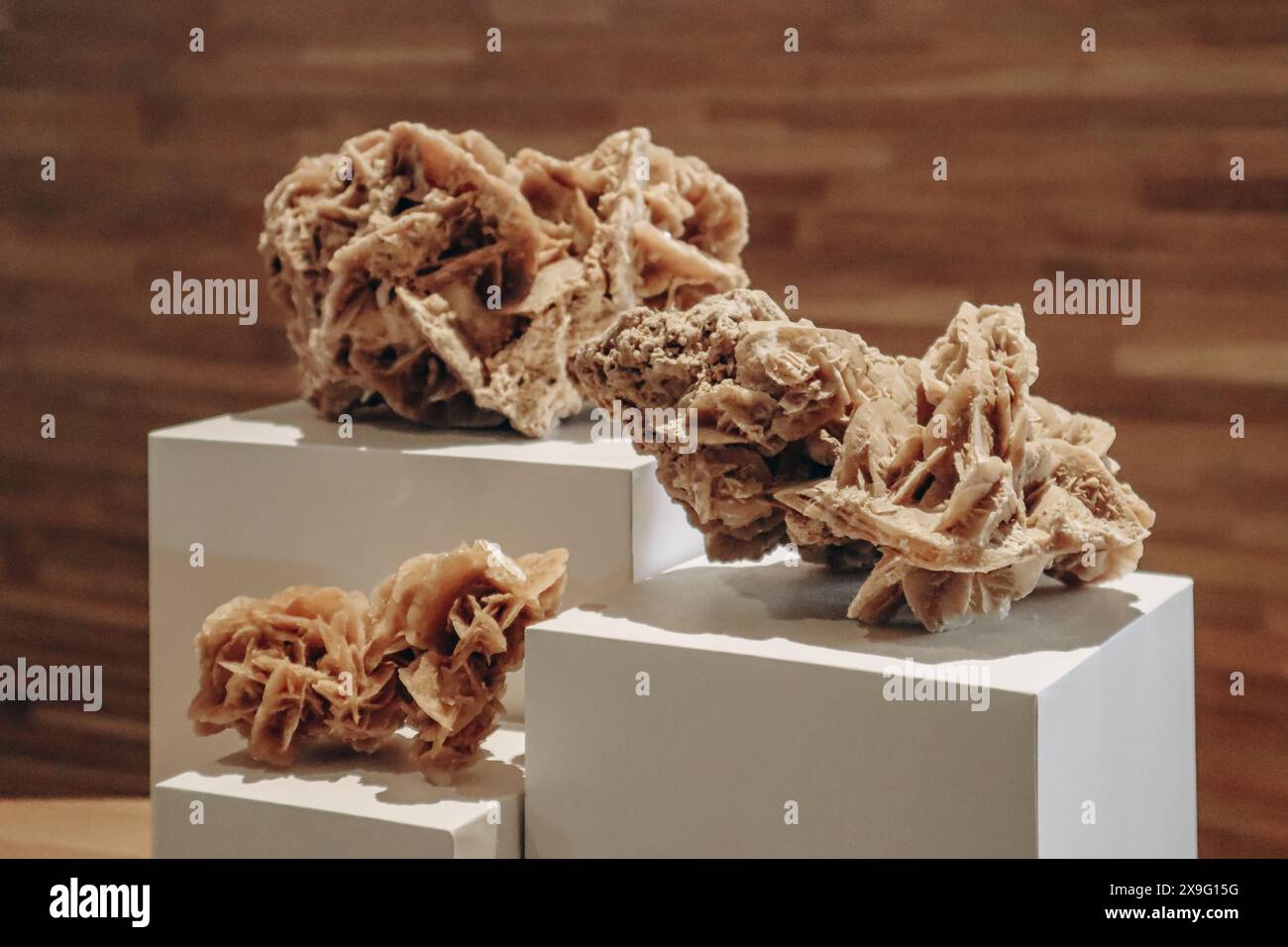 Una rosa del deserto, un'intricata formazione simile a una rosa di gruppi di cristallo di gesso o baryte, che includono abbondanti grani di sabbia. Foto Stock