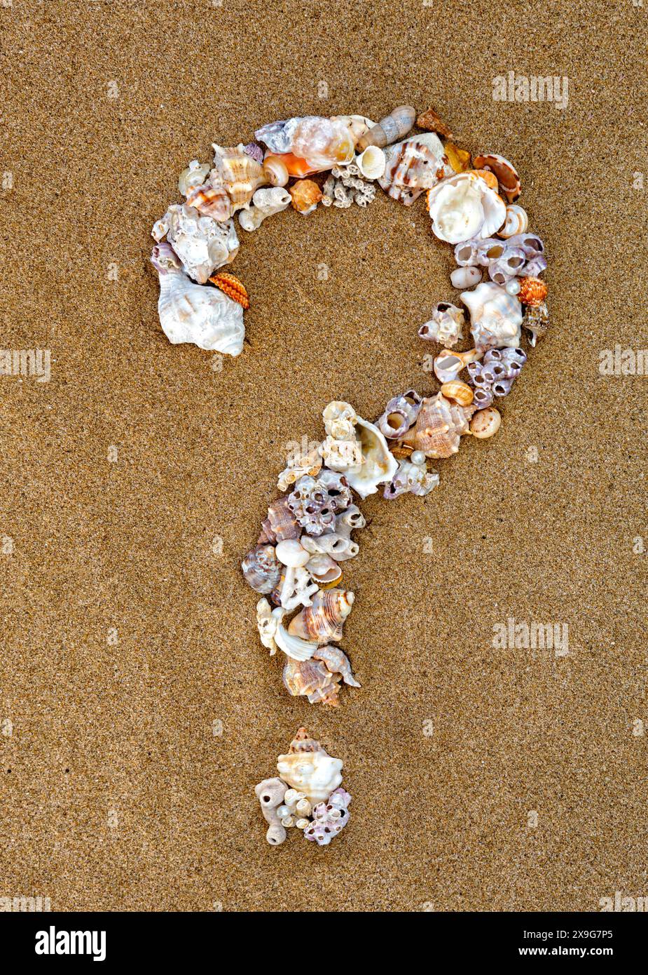 Punto esclamativo, domanda, punto, trattino, meno, inoltre, per scrivere o alfabeto, con conchiglie sulla sabbia. Alfabeto shell sulla sabbia. lettere nautiche sp Foto Stock