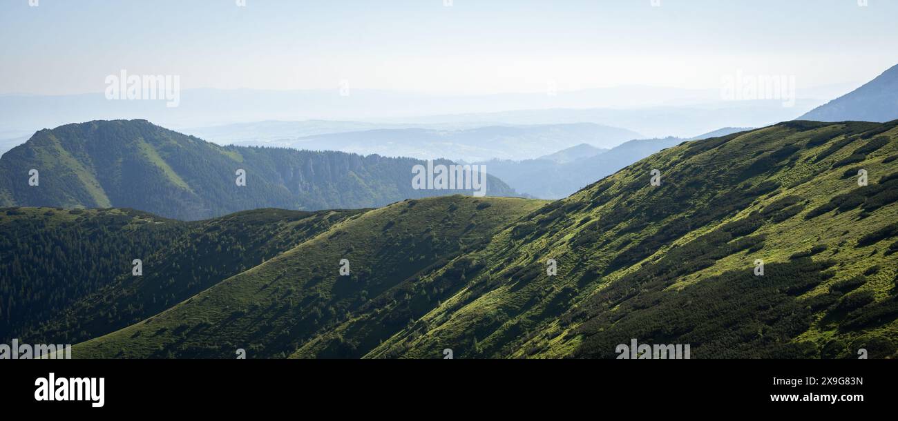 Ridgeline verdi erbose con più montagne che scompaiono in uno sfondo nebbioso, Slovacchia, Europa Foto Stock