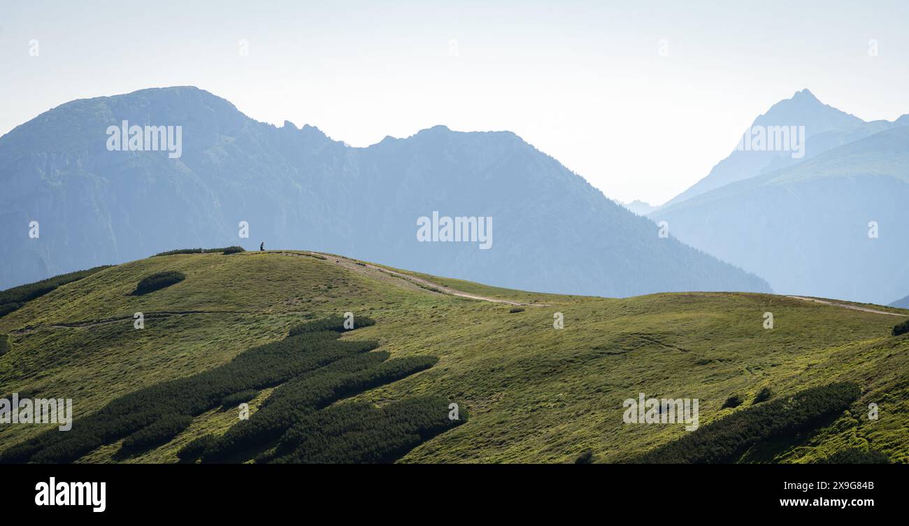 Escursione a piedi in un rigoglioso ghiaioso con massicce cime rocciose sullo sfondo, Slovacchia, Europa Foto Stock