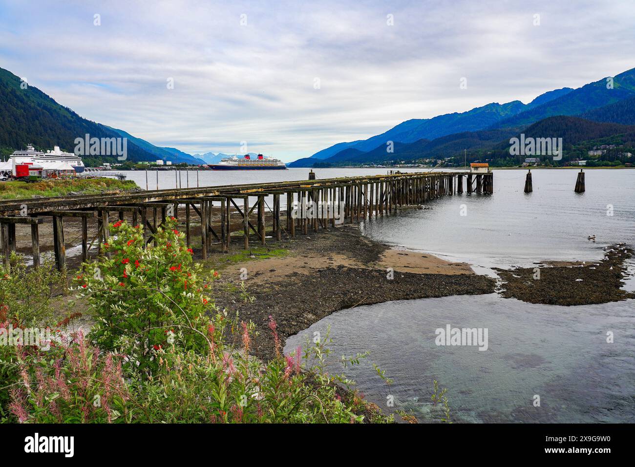Molo in legno abbandonato nel canale di Gastineau di fronte al porto crocieristico di Juneau in Alaska, USA Foto Stock
