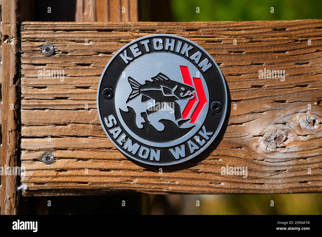 Medaglione che funge da indicazione per il Salmon Walk lungo Ketchikan Creek in Alaska Foto Stock