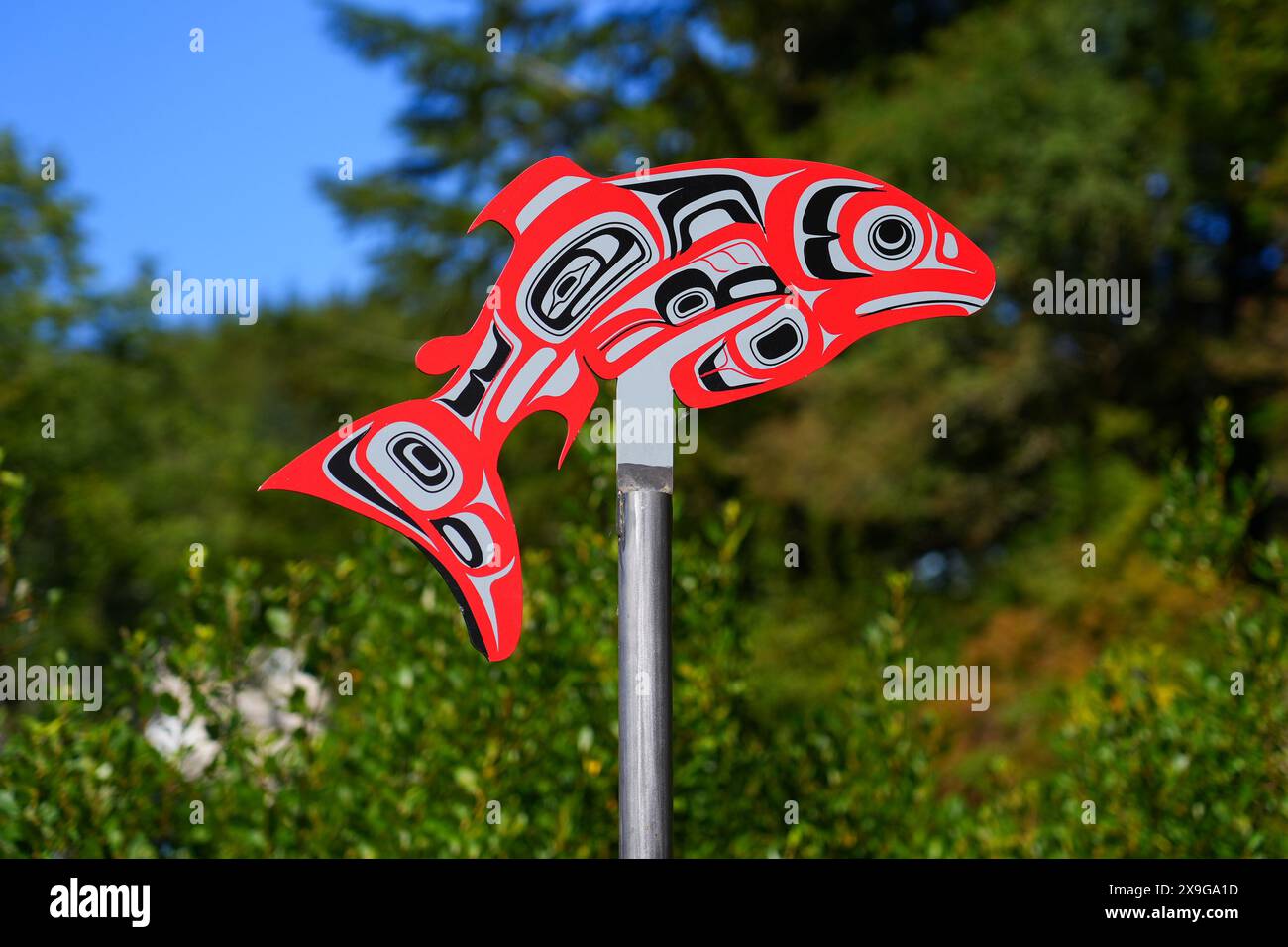Disegno nativo di un salmone rosso chinook posto in cima a un palo lungo il Ketchikan Creek in un ambiente lussureggiante Foto Stock