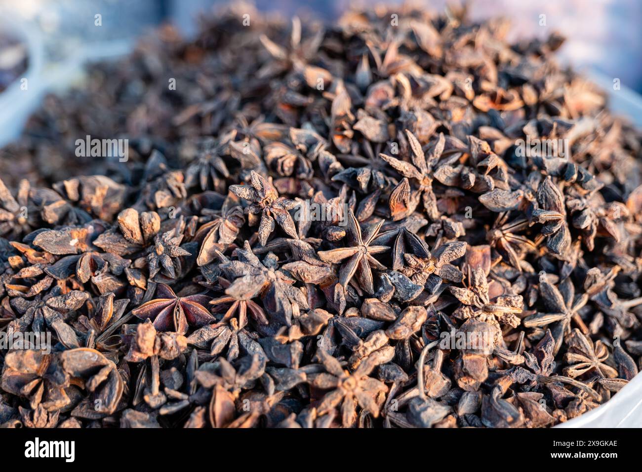 Una vista ravvicinata delle abbondanti cialde di anice stellato, che mostrano la loro forma unica a stella e il ricco colore marrone. Usato in cucina e nella medicina tradizionale Foto Stock