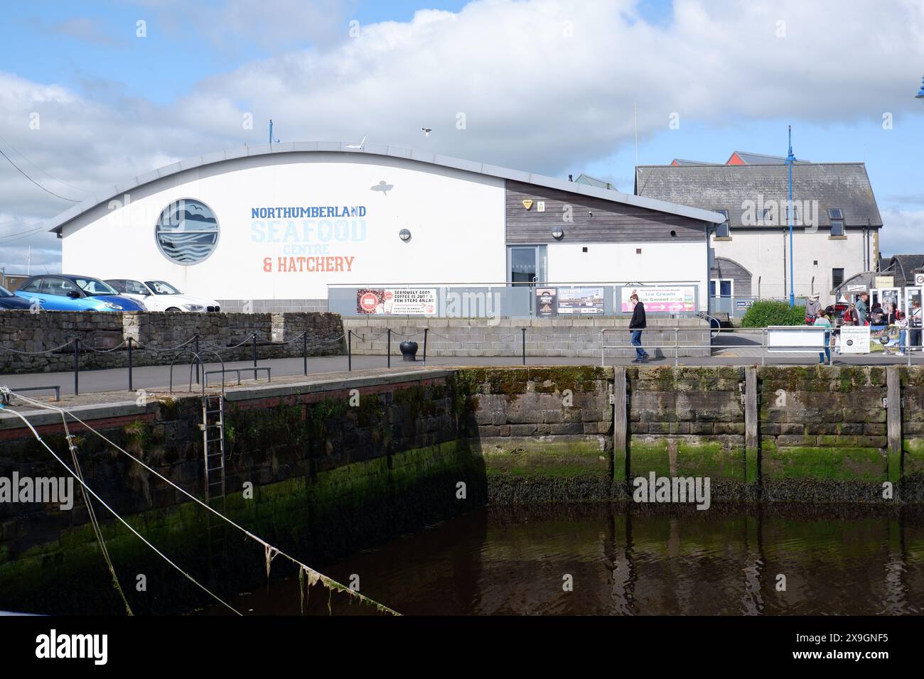 Northumberland Seafood Centre & Hatchery nel Amble Harbour Village un'iniziativa che promuove la pesca sostenibile e sostiene i pescatori locali Foto Stock