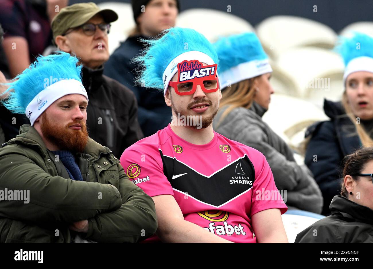 Hove UK 31 maggio 2024 - tifosi durante il Vitality T20 Blast cricket match tra Sussex Sharks e Gloucestershire al 1° Central County Ground di Hove: Credit Simon Dack /TPI/ Alamy Live News Foto Stock