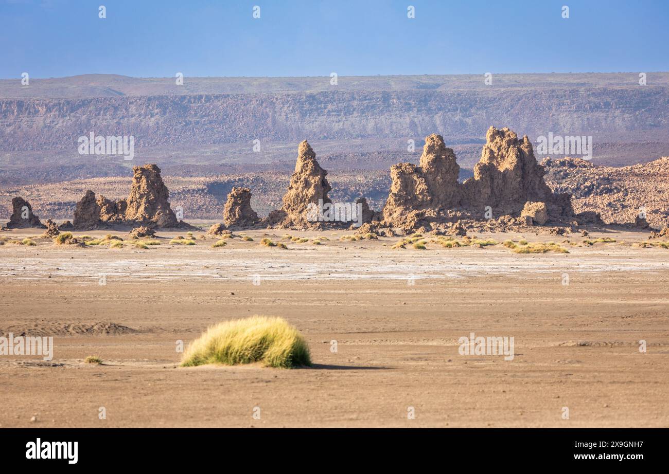 Camini preistorici calcarei formazioni rocciose geologiche, lago salato Abbe, regione di Dikhil, Gibuti Foto Stock